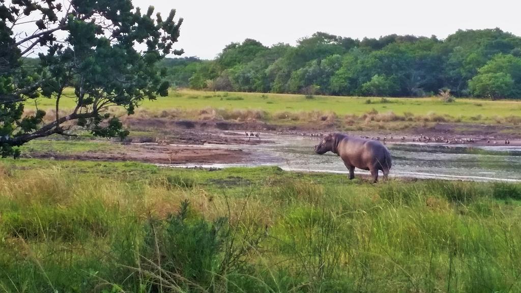 Umlilo Lodge Saint Lucia Estuary 외부 사진