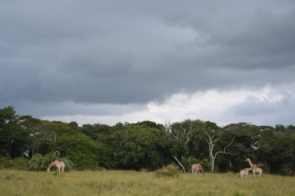 Umlilo Lodge Saint Lucia Estuary 외부 사진